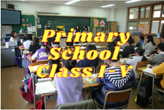 Primary School